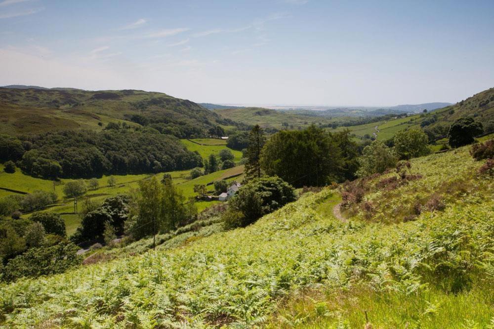 הוילה ברוטון אין פרנס Raisthwaite Farm מראה חיצוני תמונה